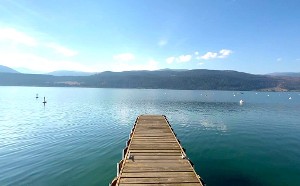 Shared Dock